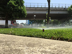 manutenzione-giardini-05_s.jpg