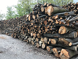 legna-da-ardere-stoccaggio-06_s.jpg